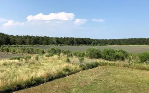Hunting Property for Sale Hyde County