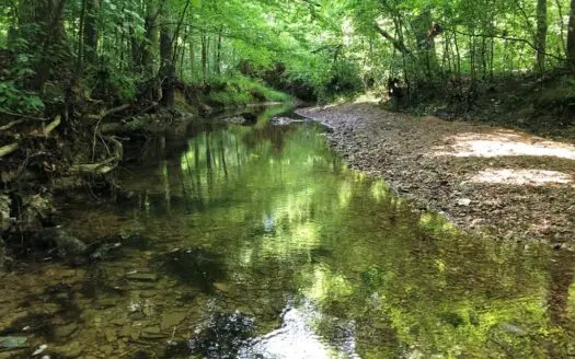 Chatman Branch Retreat in Southern Va