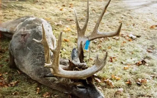 Ridgetop Hunting Land for Sale in Prairie Du Chien, Wi