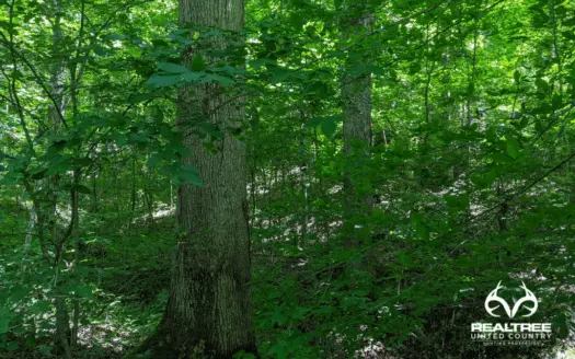 39 Acres Bordering Wayne National Forest