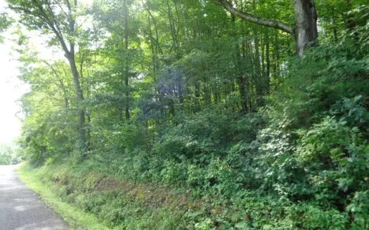 8.3 Acres Hunting Land for Sale in Grainger Co Tn