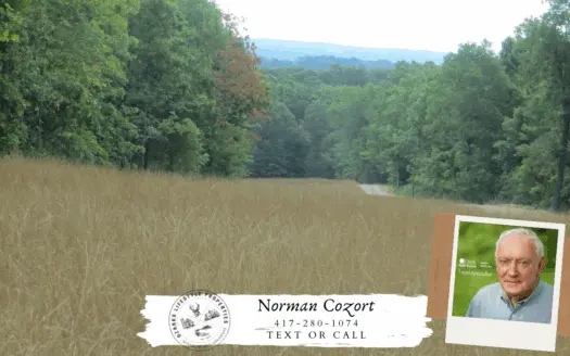 Acreage/homesites for Sale Just Outside Of Thayer, Mo