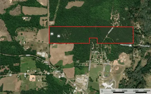 East Texas Timberland