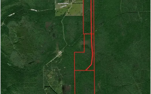 Hunting Recreational Property / Land for Sale in Louisiana