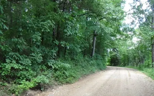 Coldwater Missouri Land for Sale