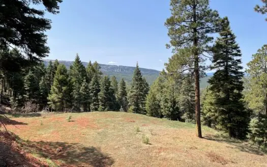 Recreational Mountain Land for Sale Chama Nm with Utilities