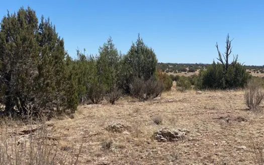 Antelope Valley Ranches Land for Sale- Near Route 66