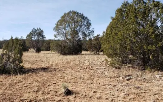 4.29 Acres Borders State Trust Land for Sale