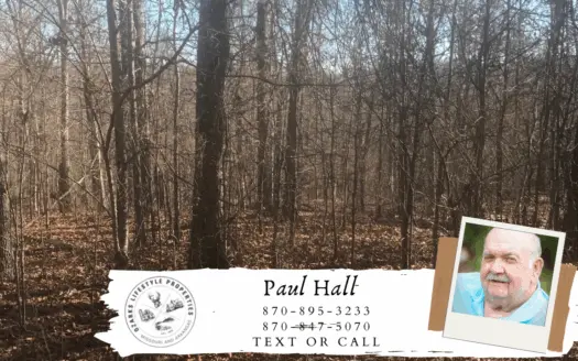 Lot for Sale in Mammoth Spring, Ar