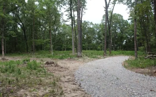 Wooded Acreage Near Mountain View, Arkansas