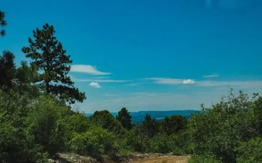 Land for Sale South Of Chama Nm in the Ponderosa S/d