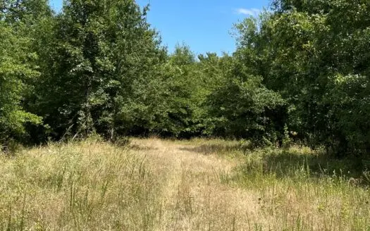 Land for Sale Southeastern Oklahoma Joining National Forest