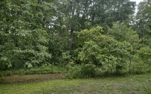 Land for Sale with Acreage in Lewis County Tennessee