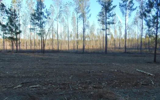 East Tennessee Land for Sale