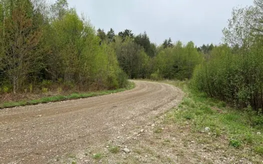 Maine Timberland for Sale