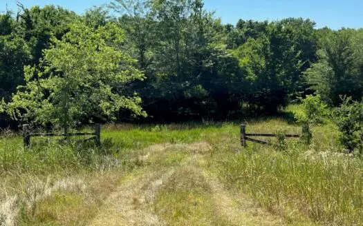 Hunting Land for Sale- Haskell County, Oklahoma