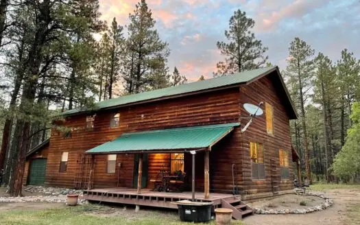 Brazos Cabin in the Woods with Level Acreage Near Chama Nm