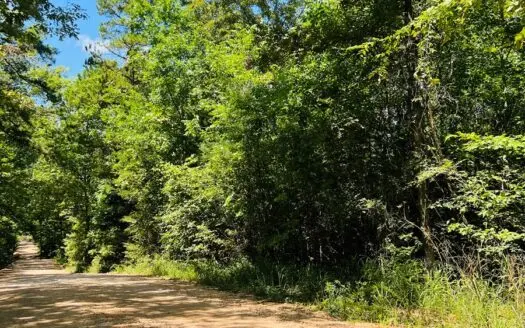 Land for Sale in Melbourne, Arkansas
