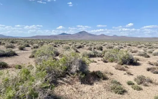 160 Acres for Sale  in North Washoe County