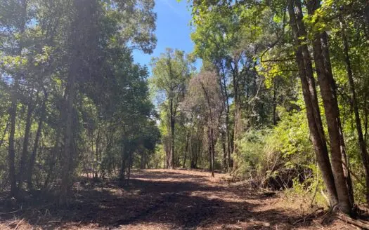 Wooded East Texas Property for Sale