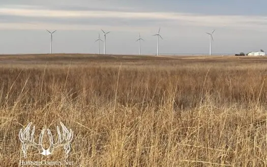 160 Acres M/l Hunting Land for Sale in Gray County Kansas