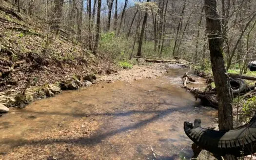 Secluded Creek Acreage at End Of Road in the Ozark Mountains