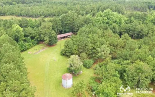 Woodcliff Screven Co Hunting & Timber Farm