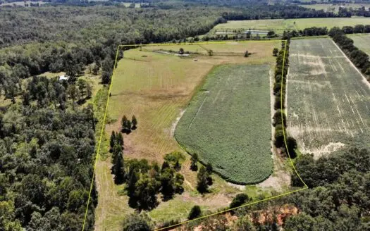 28ac Land for Sale Slocomb Alabama – Geneva County Al – Pond