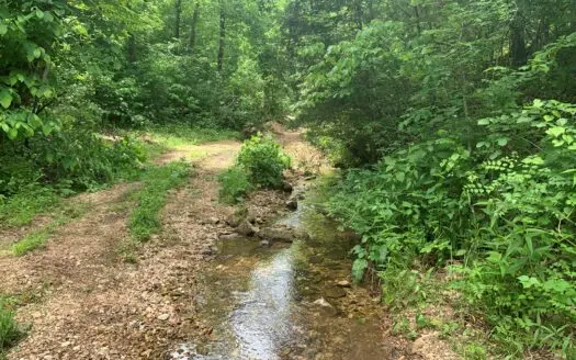 Unfinished Creek Side Cabin