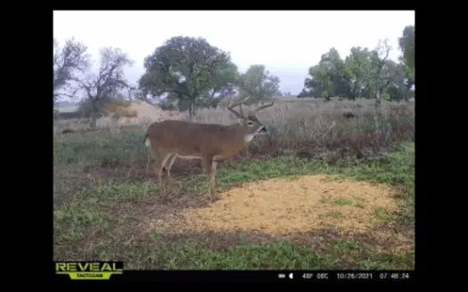 Hunting Property for Sale Kansas