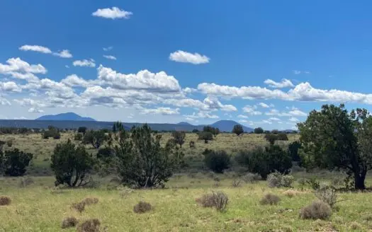 Williams Az Land for Sale in Howard Mesa Ranch
