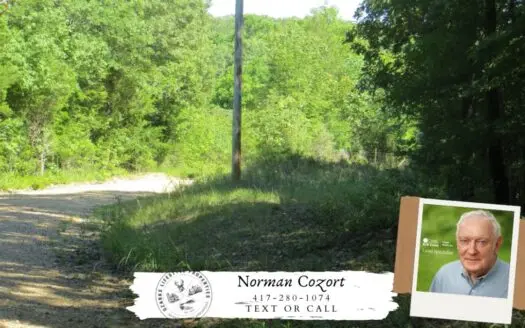 Acreage/recreational Land for Sale in Randolph County, Ar