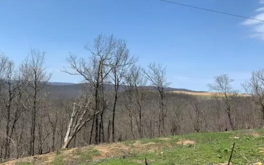 Arkansas Hunting & Recreational Land for Sale Searcy County