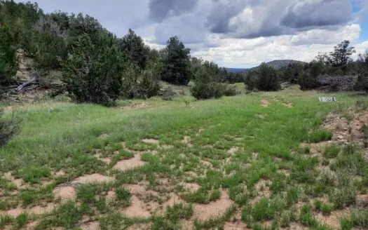 At the End Of the Road