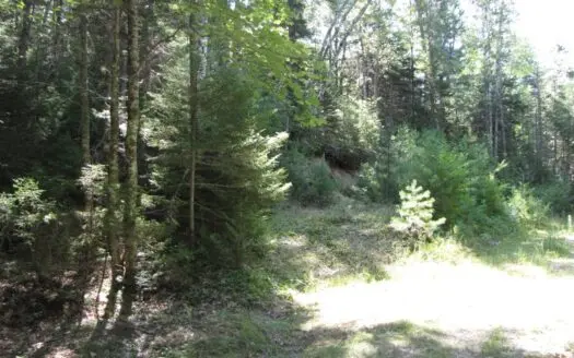 Recreational Property for Sale