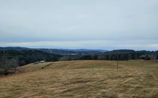 Farm for Sale in Willis Va