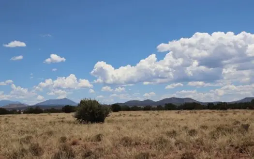 Views, Views, Views!