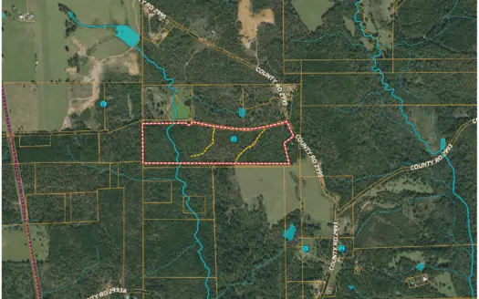 Hunting Land for Sale, Timberland for Sale