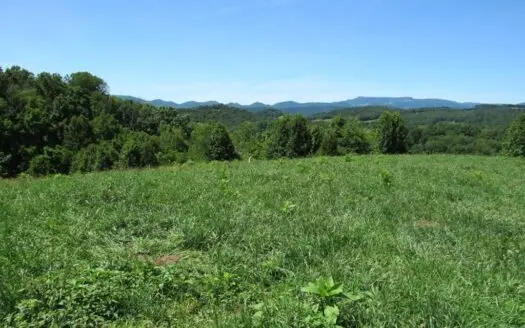 Lot with Mountain Views for Sale