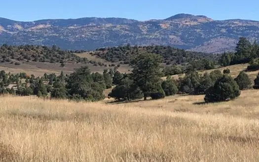 Gorgeous Northern New Mexico Farm with Well, Septic, Power