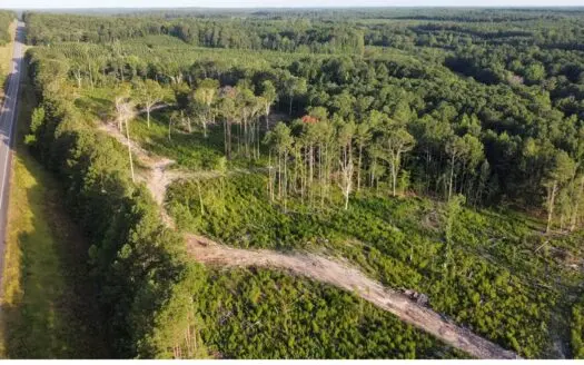 75 Acres Land for Sale Claiborne Parish, La