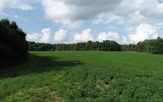 Jackson Tn Farm for Sale with Hunting, Row Crop & Timber