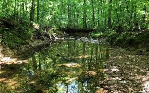 Sportsman’s Escape in Southern Va