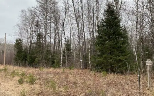 10 Acres Of Vacant Wooded Land for Sale in Pine County Mn