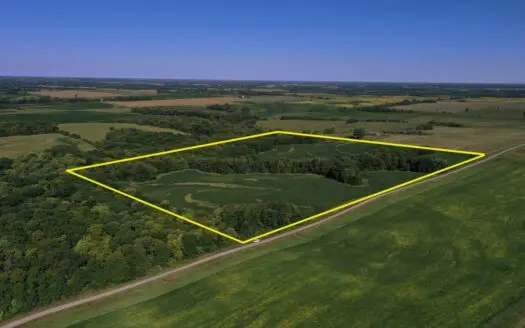 For Sale 50 Acre M/l Hunting Tract