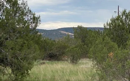 Mountain Land for Sale with Power in Coconino County
