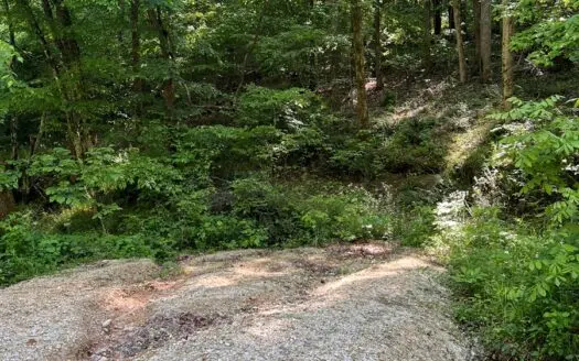 Land for Sale in Clifton, Tennessee