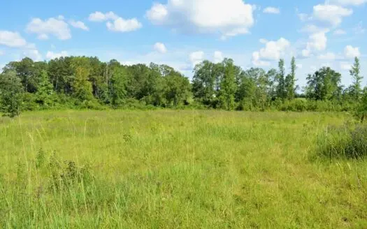 Recreational Hunting Property for Sale in Lincoln County, Ms