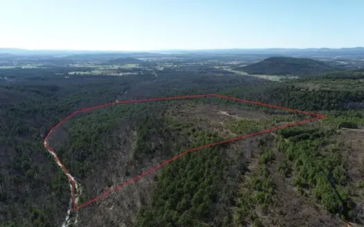 79 Acre Poteau Mountain Recreational Property