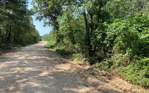 Vacant 10 Acre Tract for Sale Outside Of Evening Shade, Ar